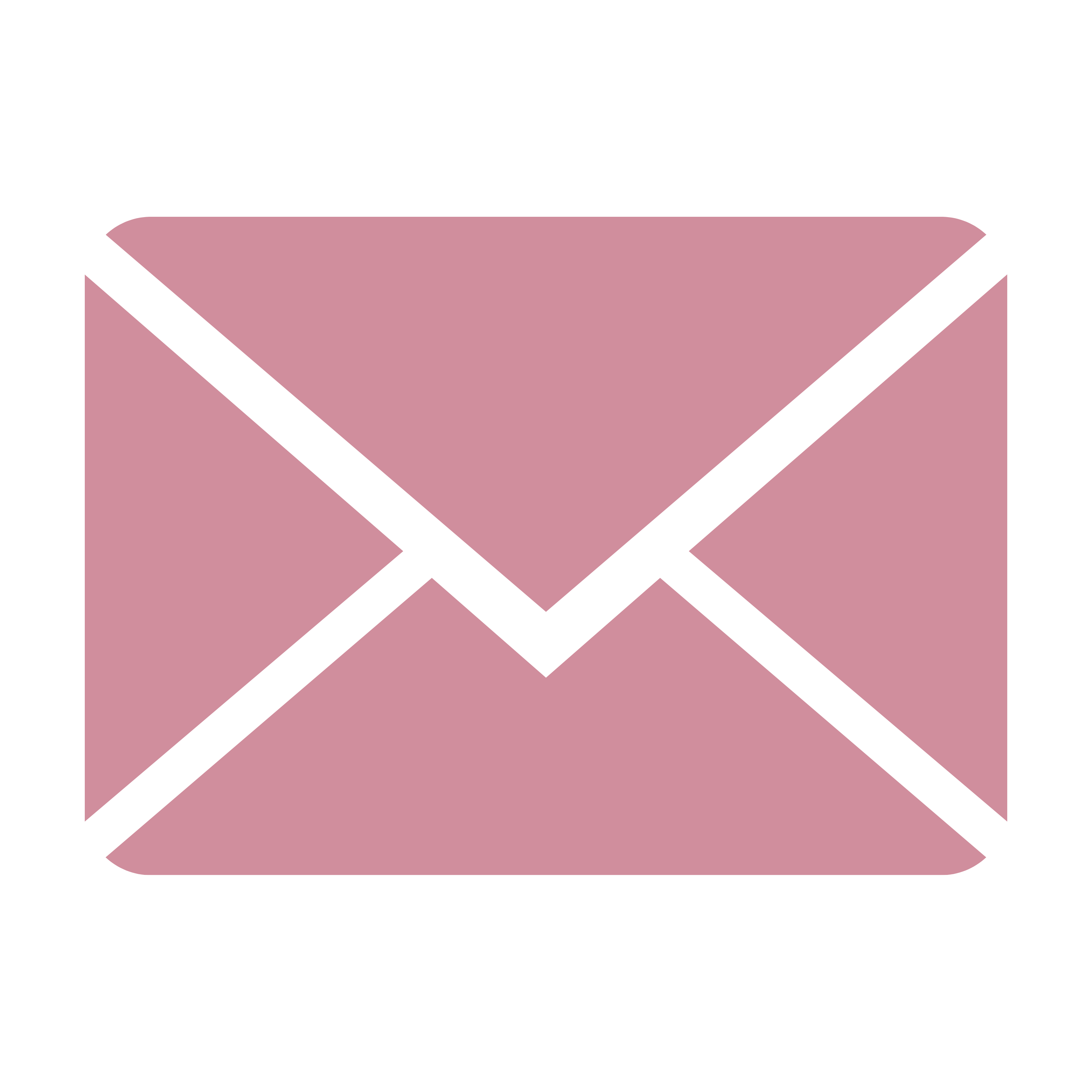 Email icon
